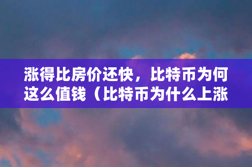 涨得比房价还快，比特币为何这么值钱（比特币为什么上涨这么快）