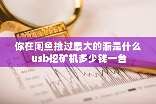 你在闲鱼捡过**的漏是什么 usb挖矿机多少钱一台