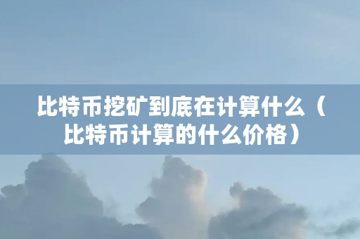 比特币挖矿到底在计算什么（比特币计算的什么价格）