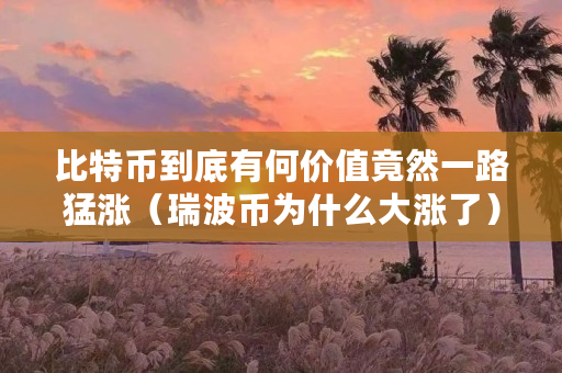 比特币到底有何价值竟然一路猛涨（瑞波币为什么大涨了）