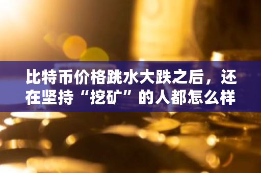 比特币价格跳水大跌之后，还在坚持“挖矿”的人都怎么样了 比特币交易价格多少钱