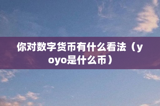 你对数字货币有什么看法（yoyo是什么币）