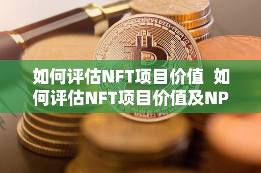 如何评估NFT项目价值 如何评估NFT项目价值及NPV进行项目评估原理
