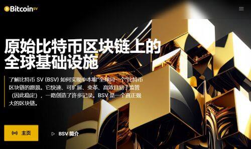 BSV币是什么币种-**张图片-<a href=https://www.globetech.com.cn/news/299177.html target=_blank class=infotextkey>欧意</a>易易下载