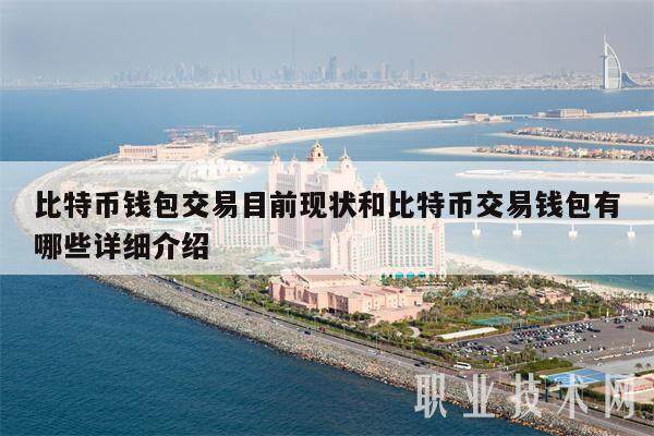比特币钱包交易目前现状和比特币交易钱包有哪些详细介绍-**张图片-欧意易易下载