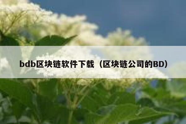 bdb区块链软件下载（区块链公司的BD）-**张图片-binance下载