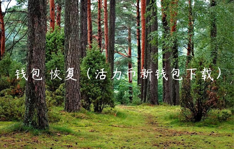 钱包 恢复（活力币新钱包下载）-**张图片-binance下载