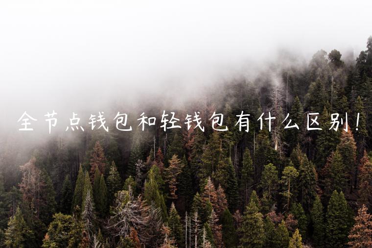 全节点钱包和轻钱包有什么区别！-**张图片-binance下载