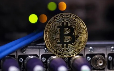 shib一美金(shib一美金的可行性)-**张图片-欧意易易下载