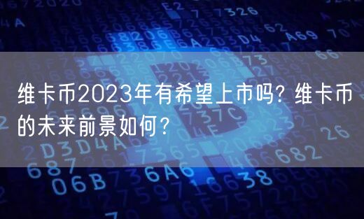 维卡币2023年有希望上市吗? 维卡币的未来前景如何？-**张图片-binance下载