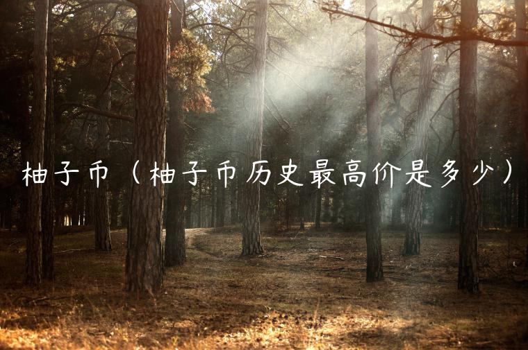 柚子币（柚子币历史**价是多少）-**张图片-binance下载