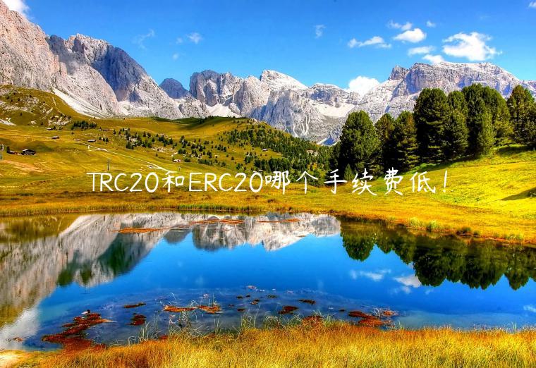 TRC20和RC20哪个手续费低！-**张图片-binance下载