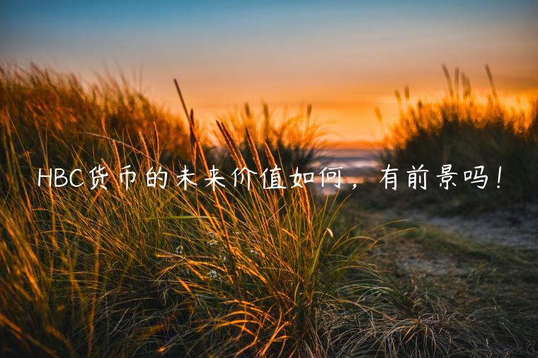 HBC货币的未来价值如何，有前景吗！-**张图片-binance下载