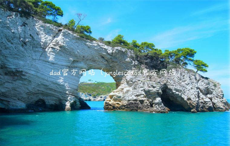 dad官方网站（junglscodad官方网站）-**张图片-binance下载