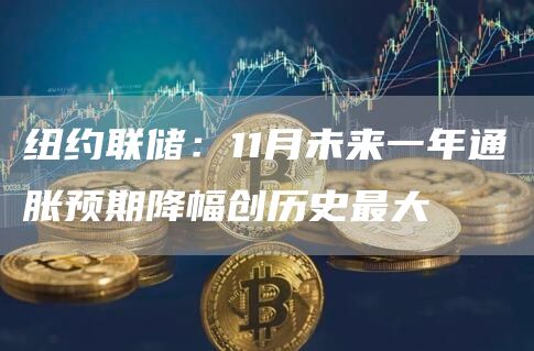 纽约联储：11月未来一年通胀预期降幅创历史**1