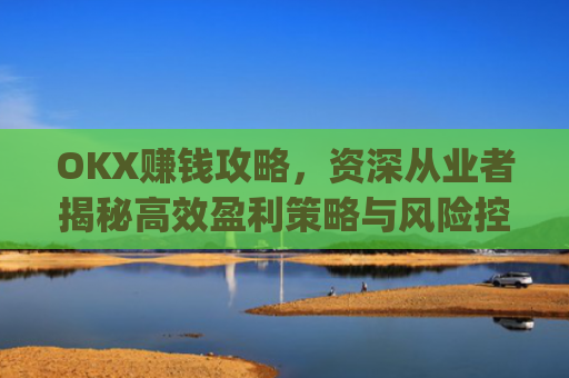 OKX赚钱攻略，资深从业者揭秘**盈利策略与风险控制_okx赚钱图片