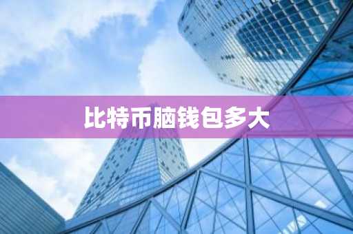 比特币脑钱包多大