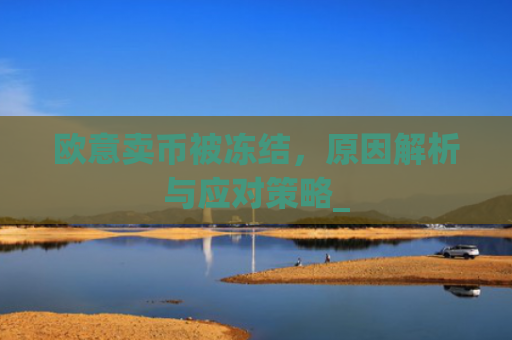 欧意卖币被冻结，原因解析与应对策略_
