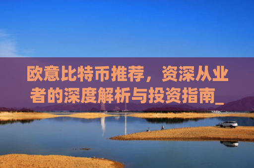 欧意比特币推荐，资深从业者的深度解析与投资指南_欧比特币app
