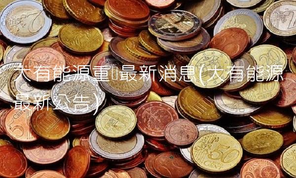大有能源重组**消息(大有能源**公告)