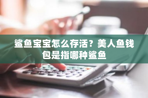 鲨鱼宝宝怎么存活?美人鱼钱包是指哪种鲨鱼-**张图片-ZBLOG 鲨鱼宝宝怎么存活?美人鱼钱包是指哪种鲨鱼-**张图片-ZBLOG