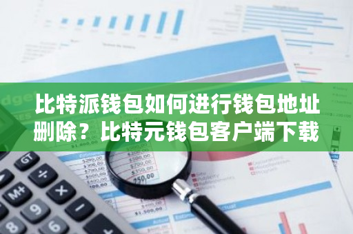 比特派钱包如何进行钱包地址删除?比特元钱包客户端下载-**张图片-ZBLOG 比特派钱包如何进行钱包地址删除?比特元钱包客户端下载-**张图片-ZBLOG