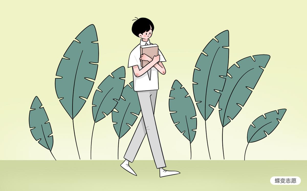 新高考选科策略参考