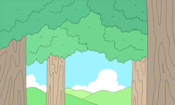 单招有本科学校么