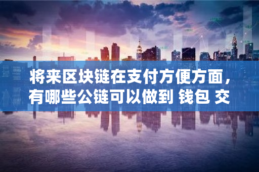 将来区块链在支付方便方面，有哪些公链可以做到 钱包 <a href=https://www.globetech.com.cn/news/299028.html target=_blank class=infotextkey>交易所</a>