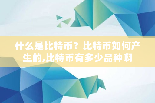 什么是比特币?比特币如何产生的,比特币有多少品种啊 什么是比特币?比特币如何产生的,比特币有多少品种啊