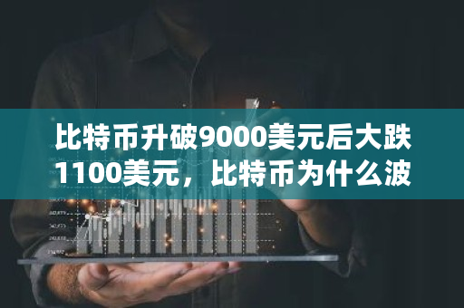 比特币升破9000美元后大跌1100美元，比特币为什么波动会如此的大 拥有比特币的公司