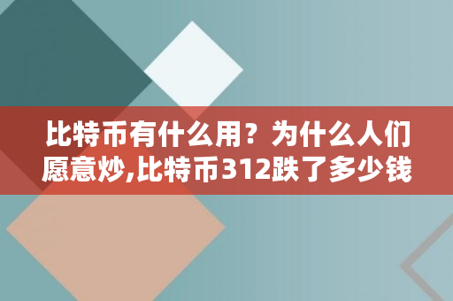 比特币有什么用？为什么人们愿意炒,比特币312跌了多少钱