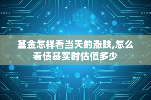 基金怎样看当天的涨跌,怎么看债基实时估值多少 基金怎样看当天的涨跌,怎么看债基实时估值多少