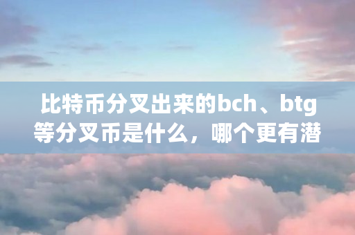 比特币分叉出来的bch、btg等分叉币是什么,哪个更有潜力成为下一个新的比特币(bch什么币主流币吗) 比特币分叉出来的bch、btg等分叉币是什么,哪个更有潜力成为下一个新的比特币(bch什么币主流币吗)