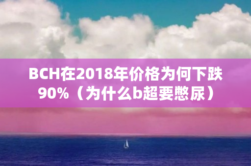 BCH在2018年价格为何下跌90%（为什么b超要憋尿）