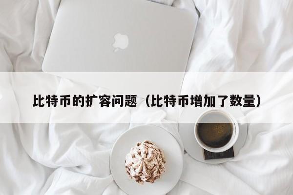 比特币的扩容问题(比特币增加了数量)