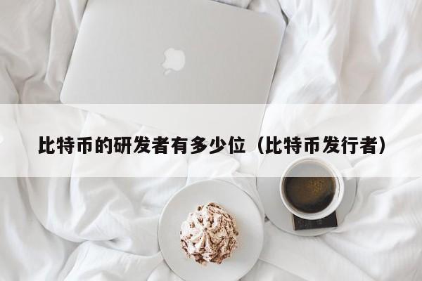 比特币的研发者有多少位(比特币发行者)