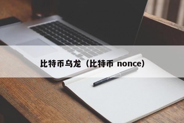 比特币乌龙(比特币 nonce)