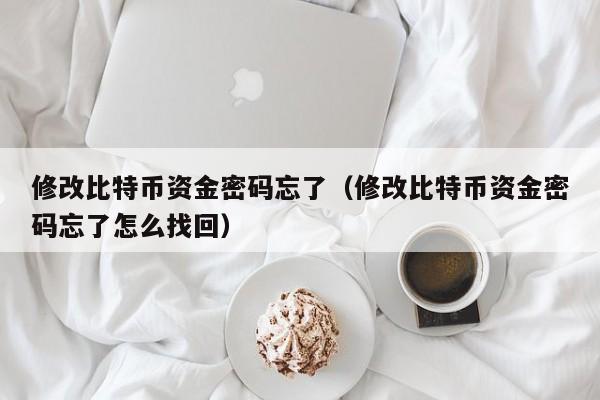 修改比特币资金密码忘了(修改比特币资金密码忘了怎么找回)