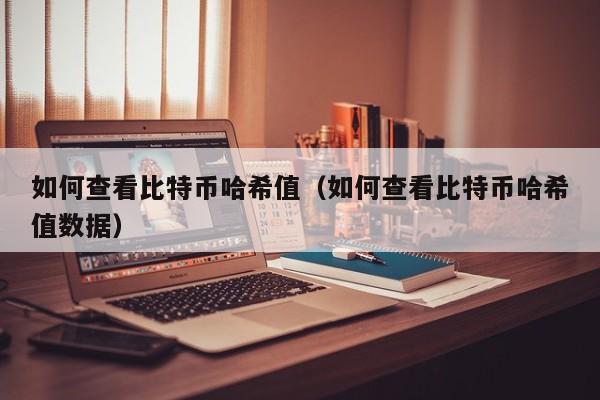 如何查看比特币哈希值(如何查看比特币哈希值数据)