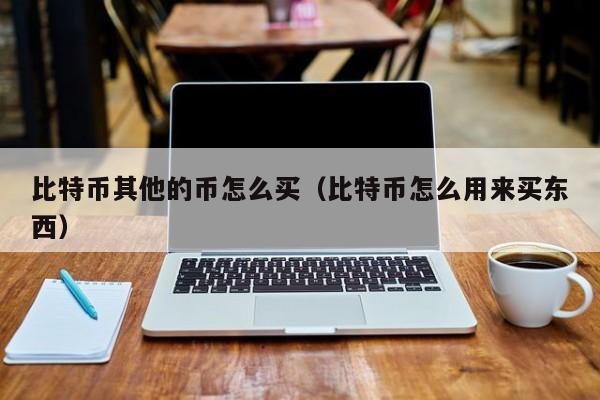 比特币其他的币怎么买(比特币怎么用来买东西)