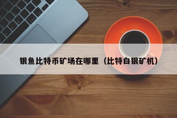 银鱼比特币矿场在哪里(比特白银矿机)