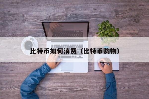 比特币如何消费(比特币购物)