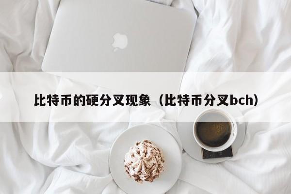 比特币的硬分叉现象(比特币分叉bch)