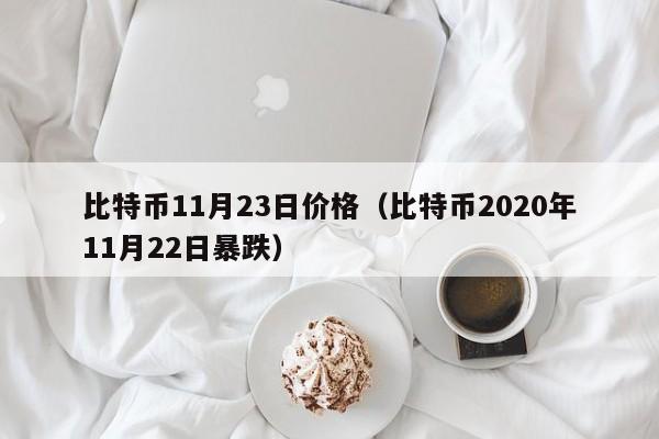 比特币11月23日价格(比特币2020年11月22日暴跌)