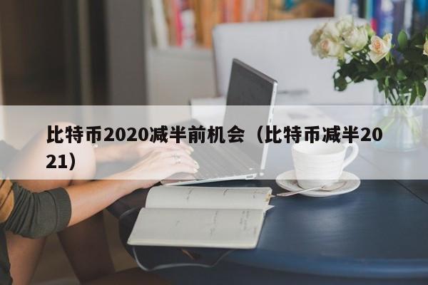 比特币2020减半前机会(比特币减半2021)