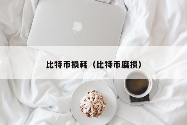 比特币损耗(比特币磨损)