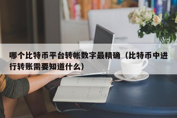 哪个比特币平台转帐数字最**(比特币中进行转账需要知道什么)