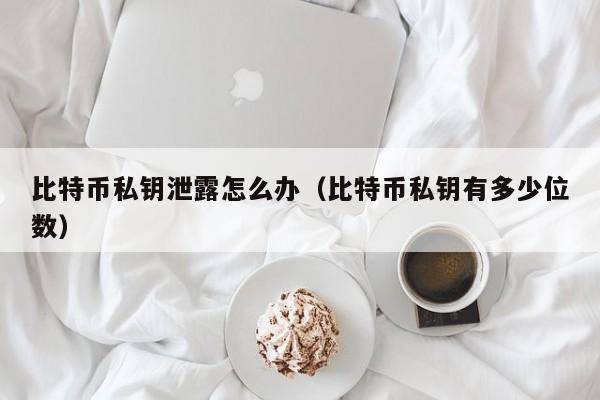 比特币私钥泄露怎么办(比特币私钥有多少位数)