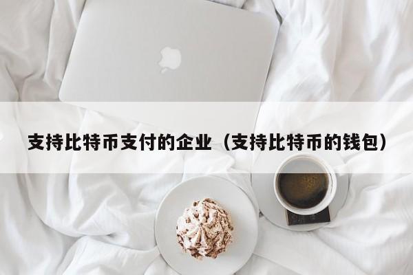支持比特币支付的企业(支持比特币的钱包)